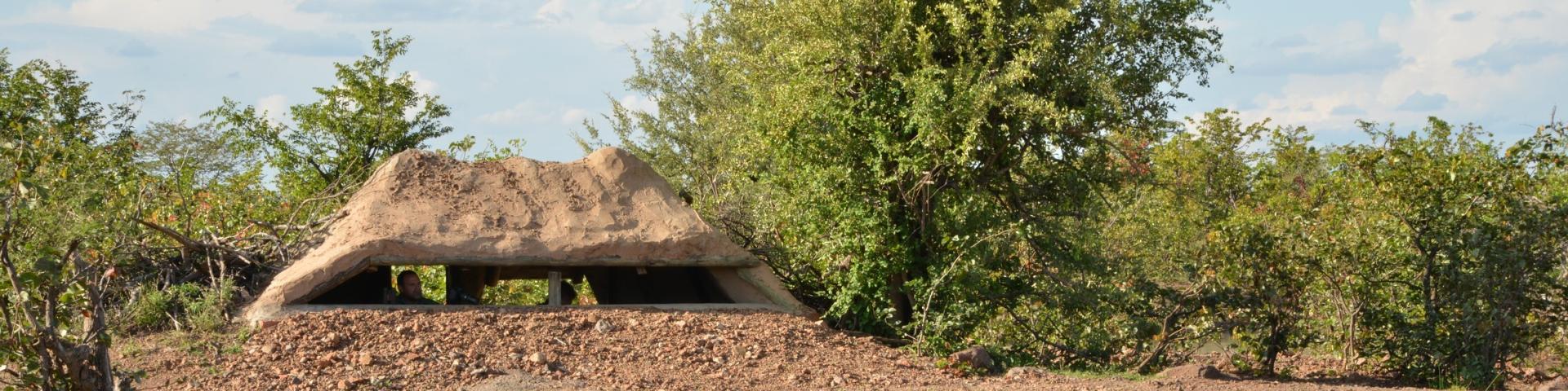 Victoria Falls Safari Lodge